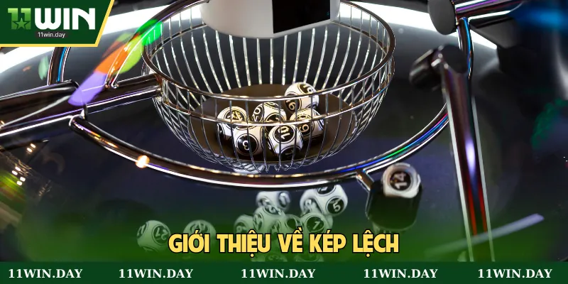 Giải mã khái niệm kép lệch là gì