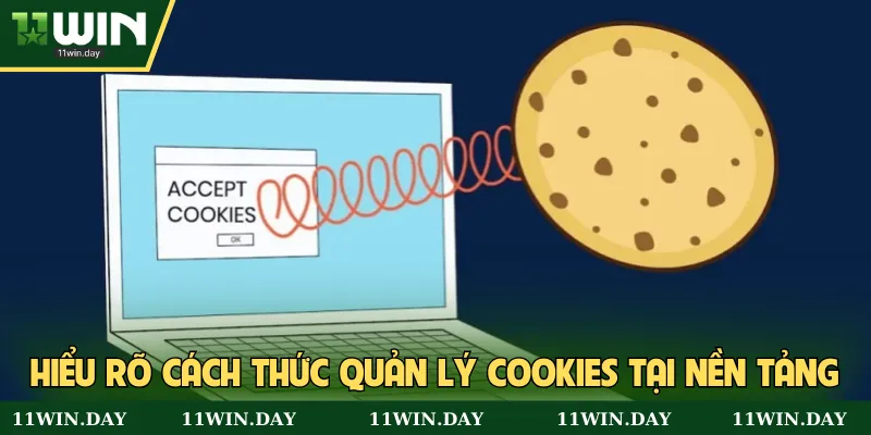 Hiểu rõ cách thức quản lý cookies tại nền tảng