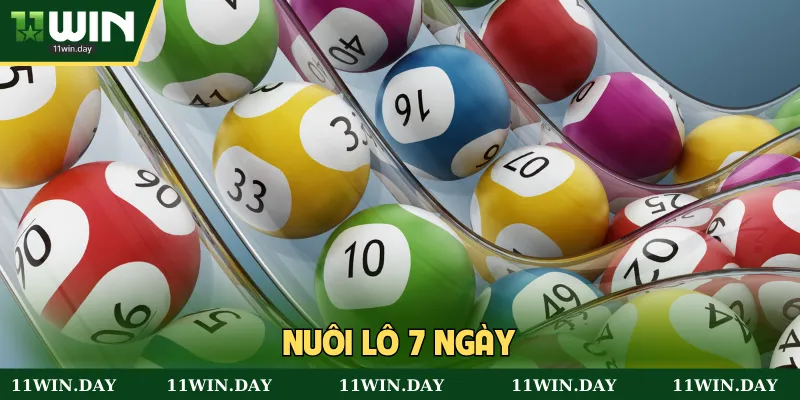 Khái niệm nuôi lô 7 ngày trong XSKT