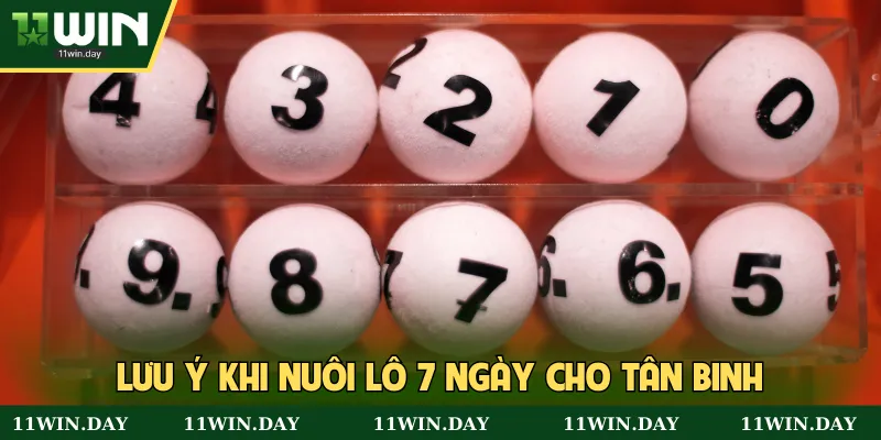 Lưu ý cần nhớ khi nuôi lô 7 ngày