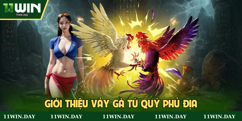 Sơ lược vảy gà tứ quý phủ địa cho kê thủ mới